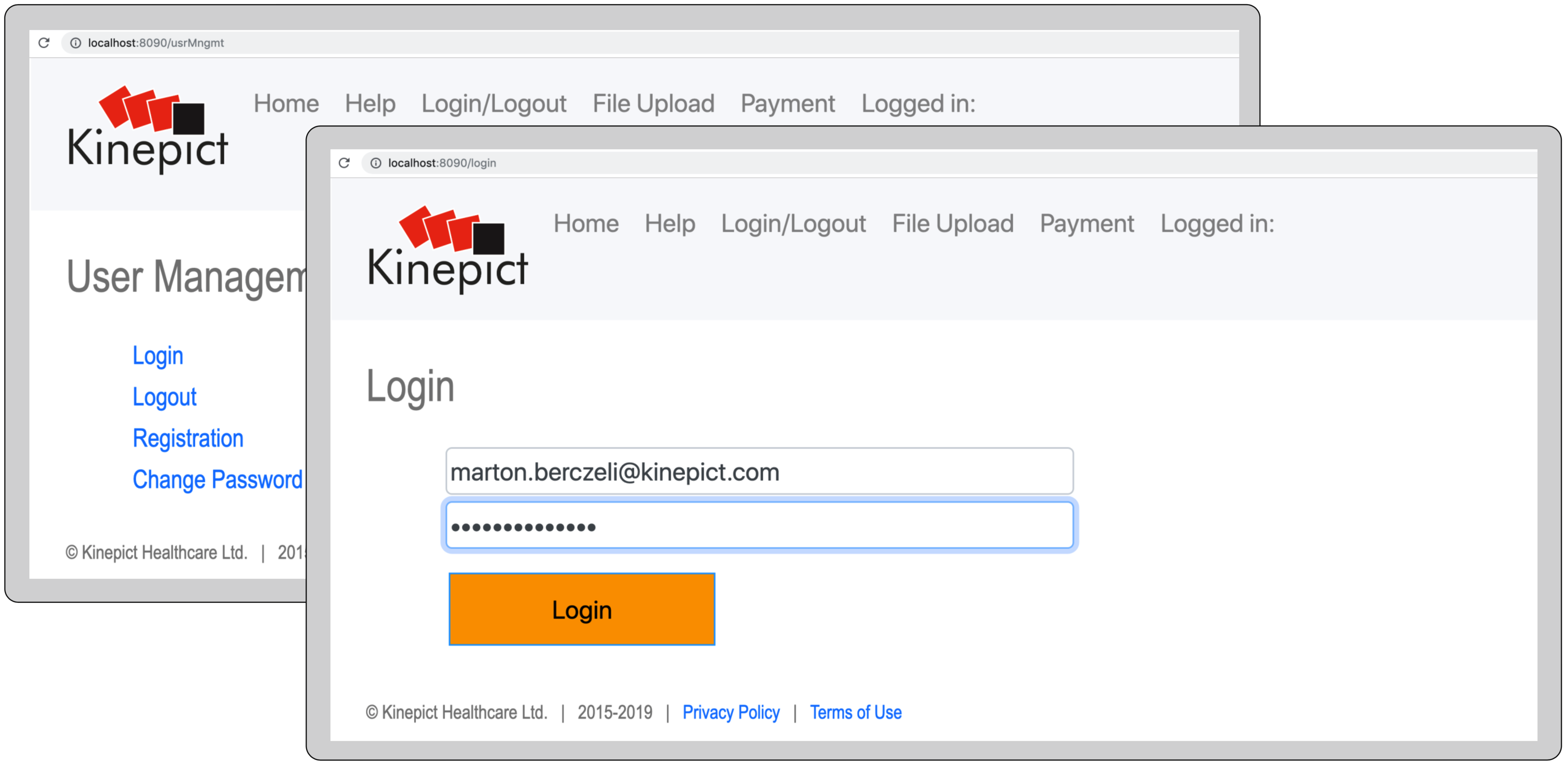 Starting the WEB service